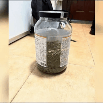 img-27 Exploatarea minorilor din Hunedoara: munca în schimbul de droguri și alcool