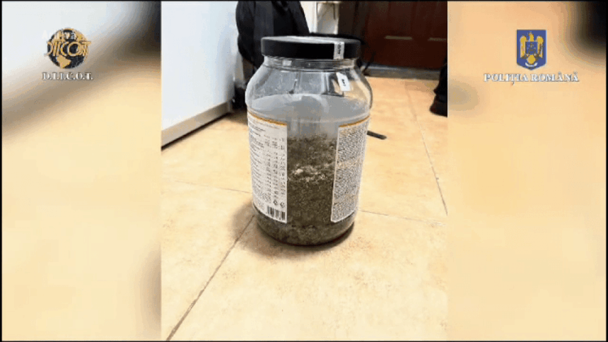 img-27 Exploatarea minorilor din Hunedoara: munca în schimbul de droguri și alcool