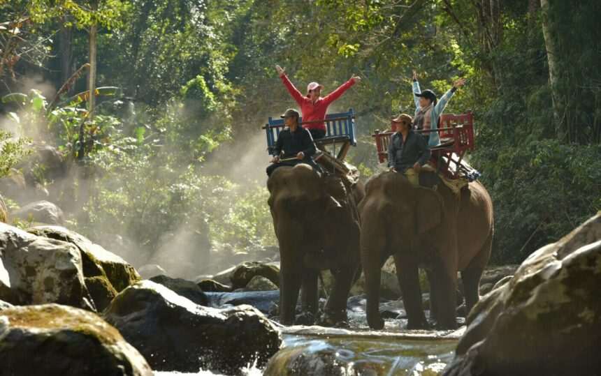 img-3 Rusii din Sri Lanka – tensiuni diplomatice și petreceri controversate