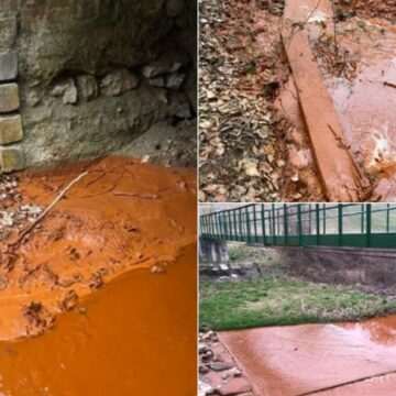 img-31 Poluarea pe Valea Borod: Apele Române anunță că unda de poluare s-a diluat la 4 kilometri de coada lacului Lugaș