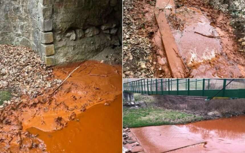 Poluarea pe Valea Borod: Apele Române anunță că unda de poluare s-a diluat la 4 kilometri de coada lacului Lugaș