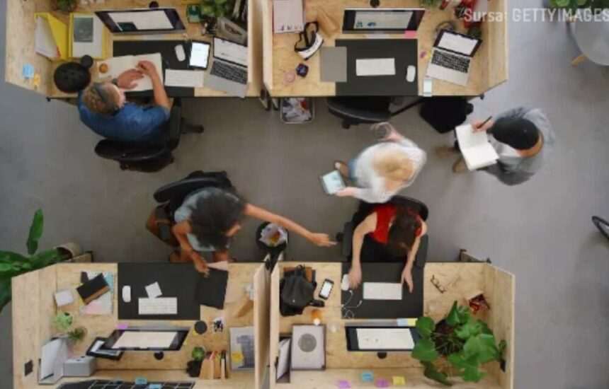 img-378 Combaterea hărțuirii la locul de muncă prin lege