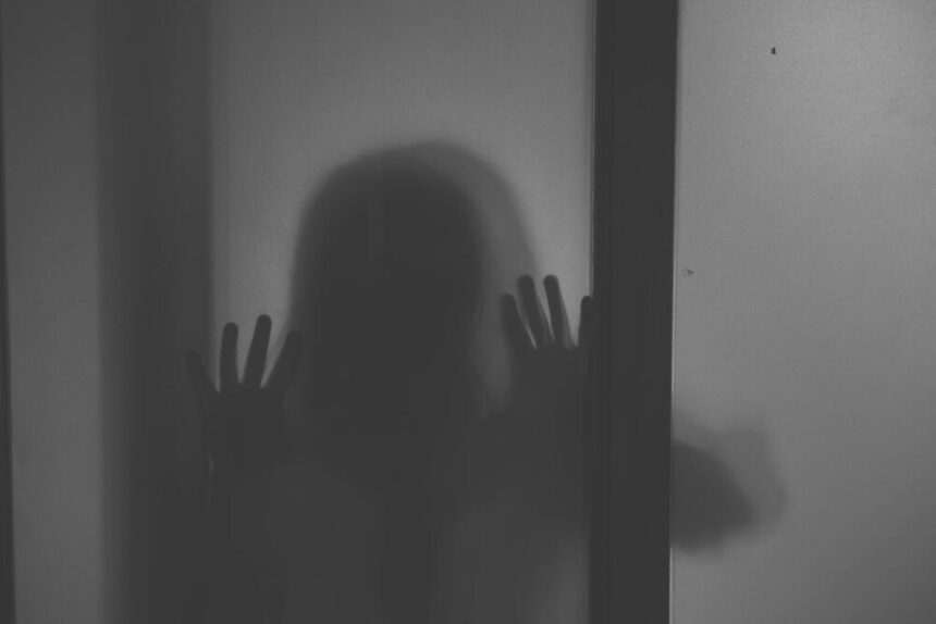 img-412 Ședință de urgență la „Nicolae Titulescu”, unde un băiețel a fost violat de două ori. Care este motivul