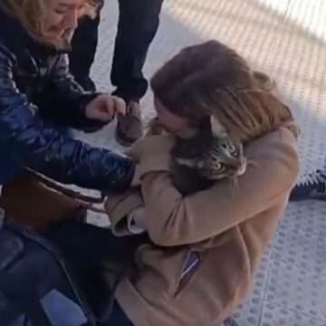 img-46 Pisica miraculoasă Coco – Supraviețuitoare a incendiului din Valencia