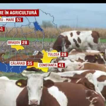 img-595 Investițiile în agricultură au luat amploare în țară