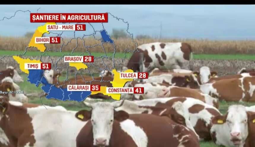 img-595 Investițiile în agricultură au luat amploare în țară