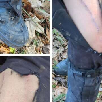 Întâlnire periculoasă cu un urs în Munții Nemira