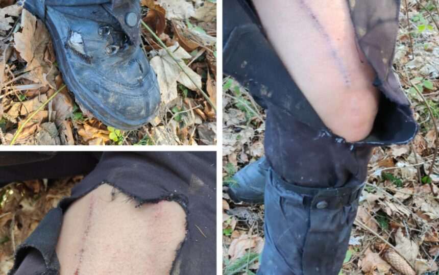 img-618 Întâlnire periculoasă cu un urs în Munții Nemira