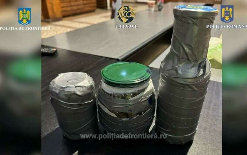 img-622 Belgianul oprit în Vama Nădlac cu trei borcane de muguri de canabis