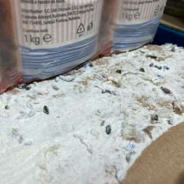 img-648 Scandal la un magazin Lidl din Timișoara: ANPC închide temporar unitatea după găsirea excrementelor de șoareci și a capcanelor cu lipici