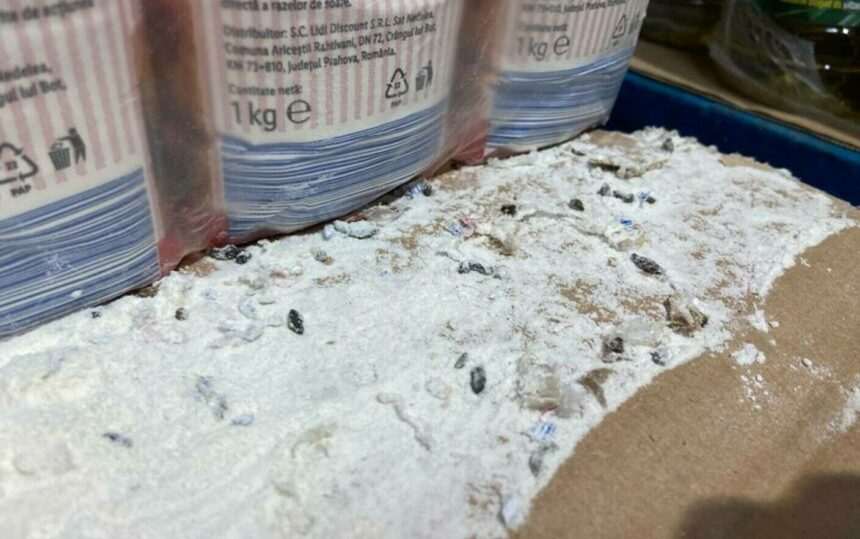 img-648 Scandal la un magazin Lidl din Timișoara: ANPC închide temporar unitatea după găsirea excrementelor de șoareci și a capcanelor cu lipici