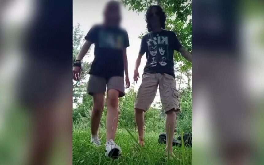 Adolescentul acuzat de omor în Grădina Botanică din Craiova a cerut schimbarea încadrării juridice