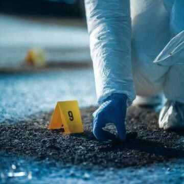 img-70 Distrugerea Clanului Kotor: 60 de crime comise de o grupare internațională