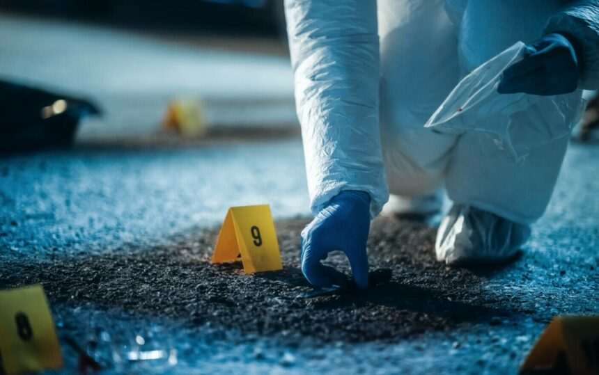 img-70 Distrugerea Clanului Kotor: 60 de crime comise de o grupare internațională