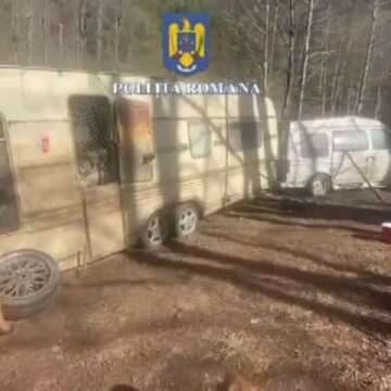 img-78 Amenda primită de un spaniol din Hunedoara care ținea peste 90 de câini într-un adăpost neautorizat