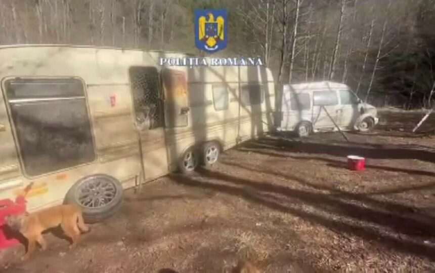 img-78 Amenda primită de un spaniol din Hunedoara care ținea peste 90 de câini într-un adăpost neautorizat