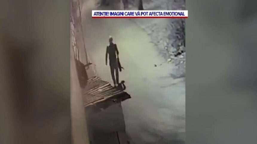 img-806 Motivul halucinant pentru care un bărbat a ucis pisica vecinului său. Ce au surprins camerele de supraveghere