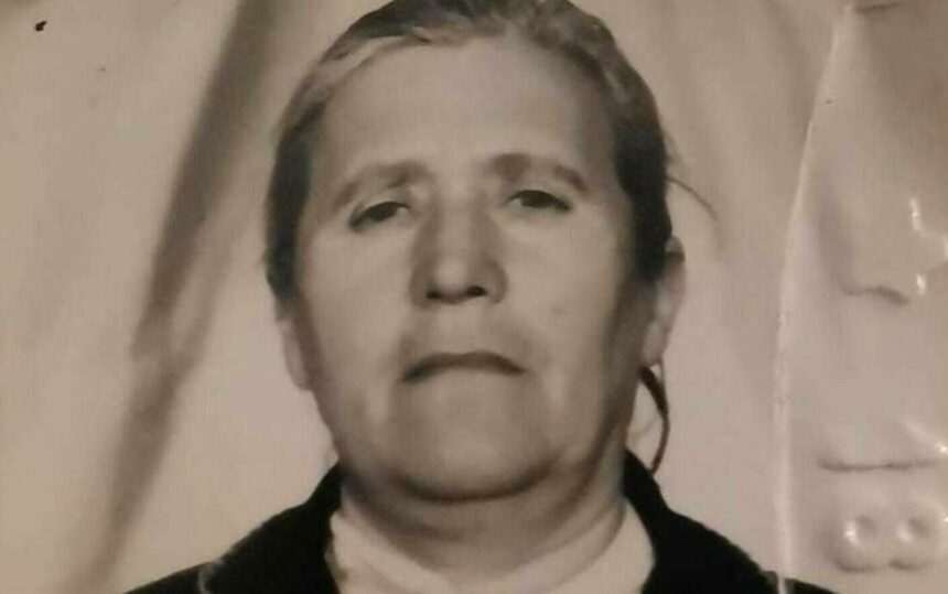 img-83 Femeie dispărută din Gorj, căutată de autorități cu drone și câine specializat