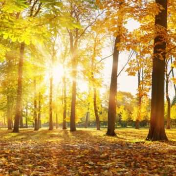 img-906 Prognoza meteo pentru 16 martie