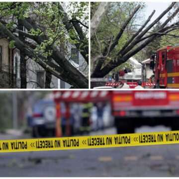 img-100 Intervenții ale pompierilor în București și Ilfov din cauza vântului puternic