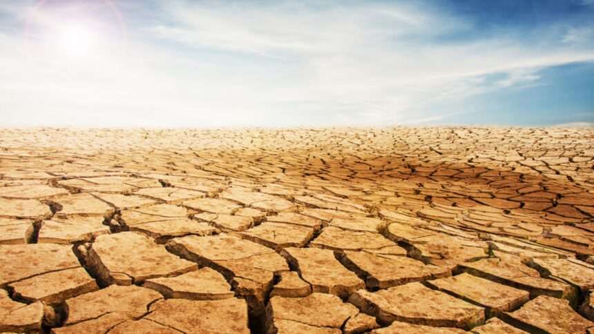 img-1004 Valul de căldură sângeros în Sahel: impactul modificărilor climatice