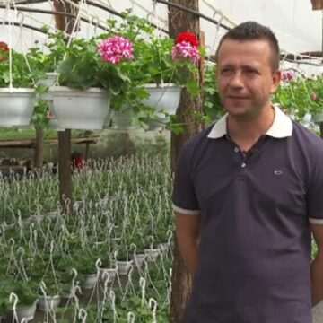 img-1046 De ce revin românii în țară din străinătate: motive și perspective de viitor