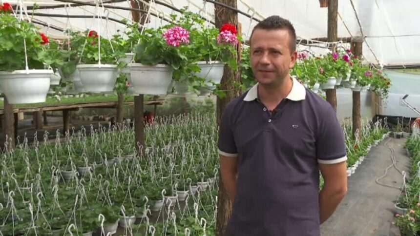 img-1046 De ce revin românii în țară din străinătate: motive și perspective de viitor