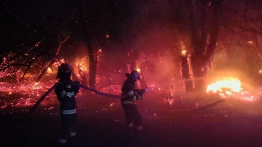 img-106 Incendiu de proporții într-o pădure din Galaţi