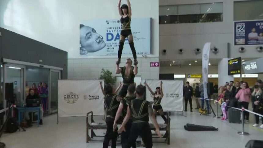 img-1072 Spectacol de circ la Aeroportul Internațional Otopeni