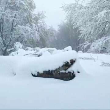 img-1101 Furtuna Renata face ravagii în România