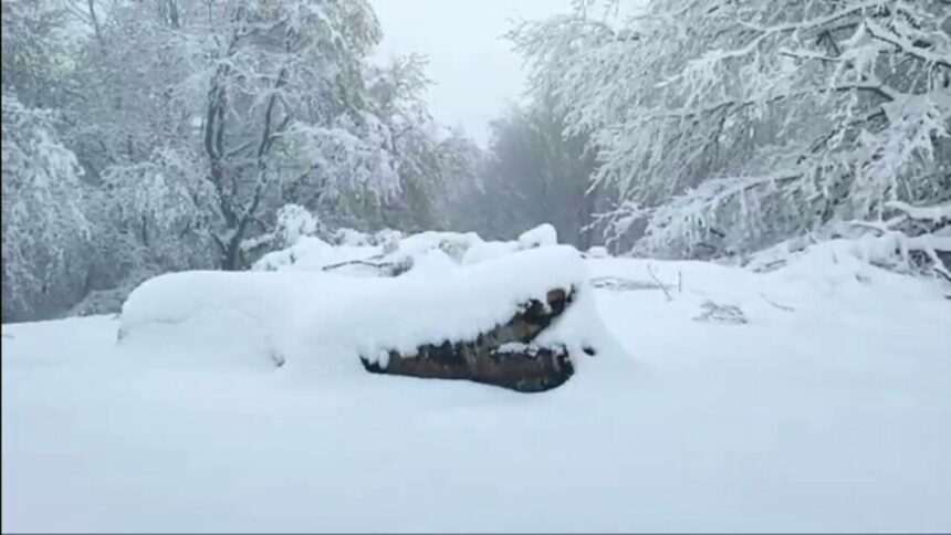 img-1101 Furtuna Renata face ravagii în România