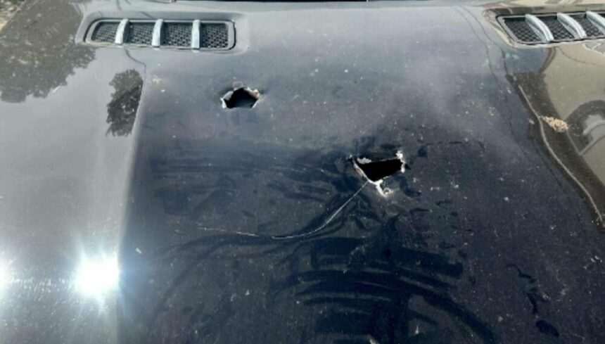 img-1109 Vandalul cu târnăcopul din Timișoara a fost reținut. A dat buzna peste o familie din oraș