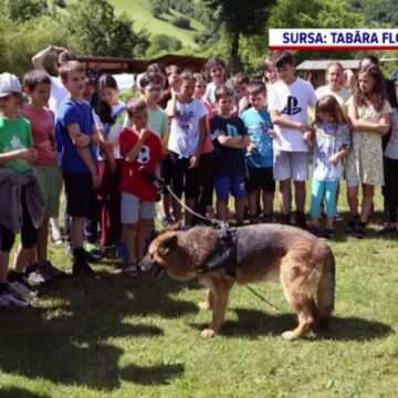 Tabere de vara organizate de mitropolii si episcopii din tara