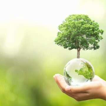 img-1219 Ziua Planetei Pământ. Istoricul acestei zile și cum este marcată în toată lumea