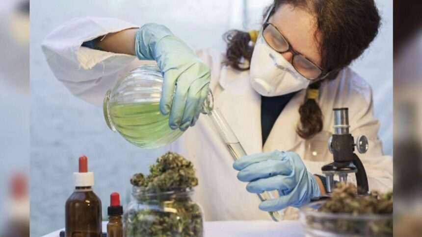 img-125 Potențialul canabisului în tratarea cancerului de piele