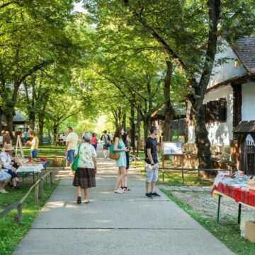 img-133 Angajații din muzeele și bibliotecile publice din România intră în grevă japoneză