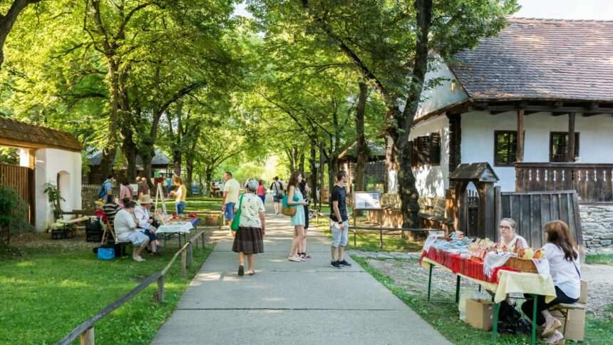 Angajații din muzeele și bibliotecile publice din România intră în grevă japoneză