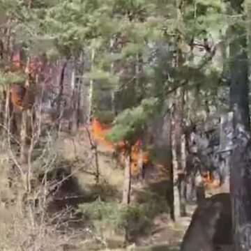 Incendiul de pădure din Târgu Ocna – Lupta cu flăcările