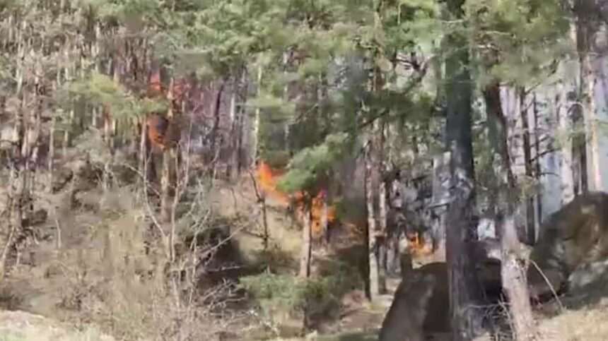 img-143 Incendiul de pădure din Târgu Ocna – Lupta cu flăcările