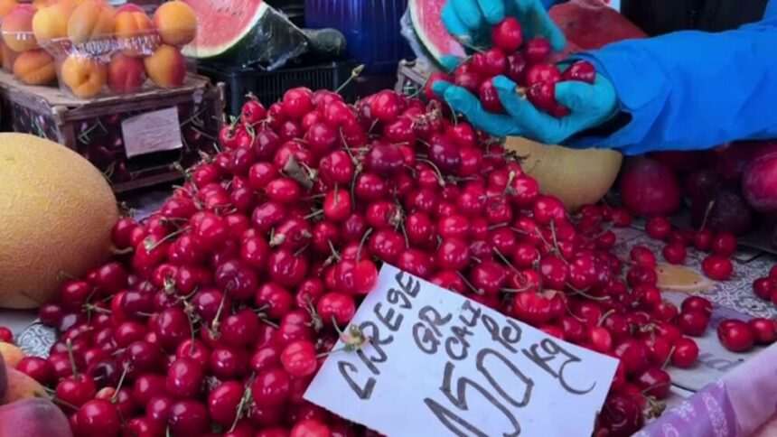 img-1439 Cireșele au început să apară în piețe: prețuri și perspective pentru sezonul de cireșe