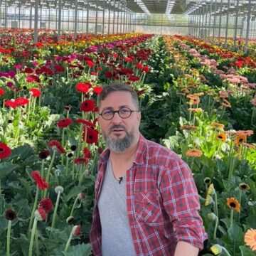 img-1459 Industria florilor din România – de la glorie la declin și oportunitate