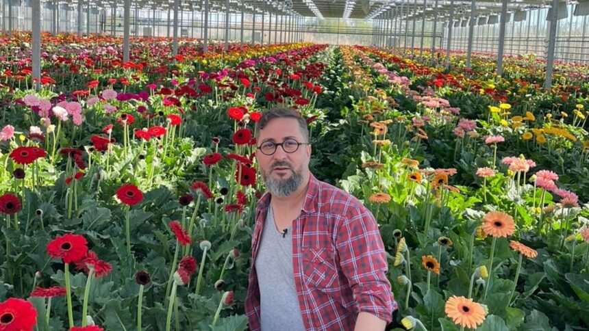 img-1459 Industria florilor din România – de la glorie la declin și oportunitate