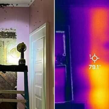 img-1481 Descoperirea șocantă a unei familii: un monstru în cameră s-a dovedit a fi un roi de albine