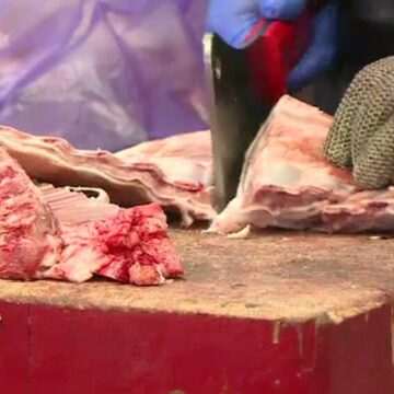 Mieii din România și scandalul exportului lor în Grecia