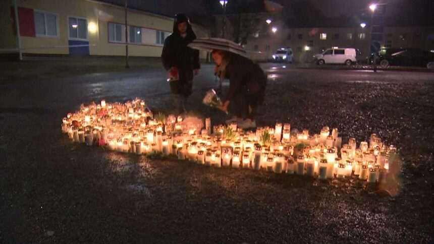 Impactul bullying-ului la copiii din Finlanda