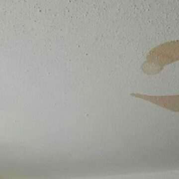 img-19 Mamă șocată de petele maronii de pe tavan