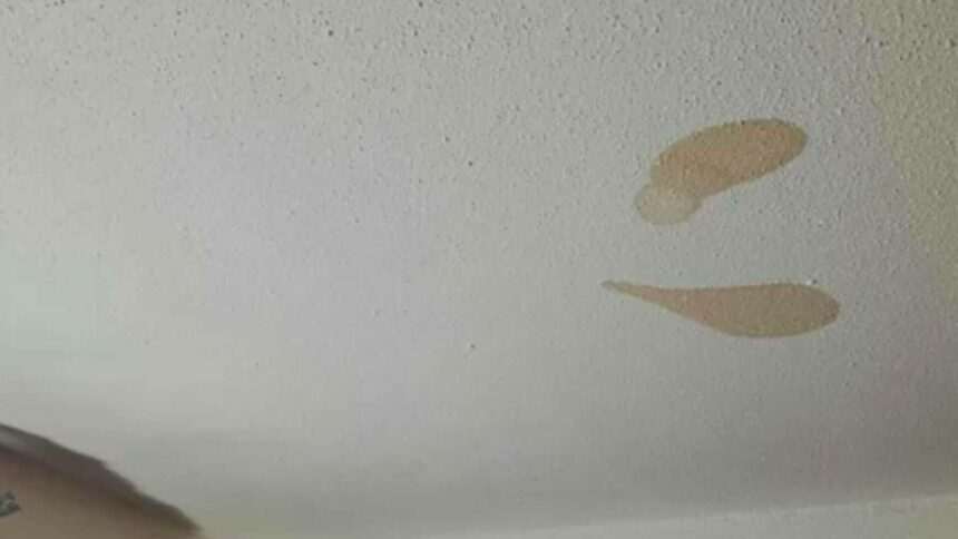 Mamă șocată de petele maronii de pe tavan