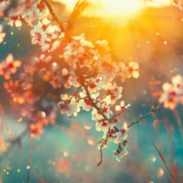 img-23 Prognoza meteo pentru următoarele două săptămâni în România