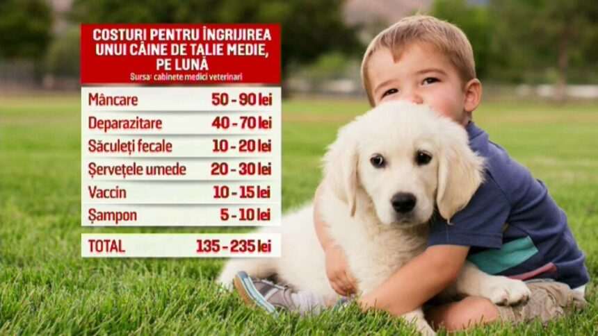 img-241 Responsabilitatea de a fi stăpân responsabil pentru animalele de companie