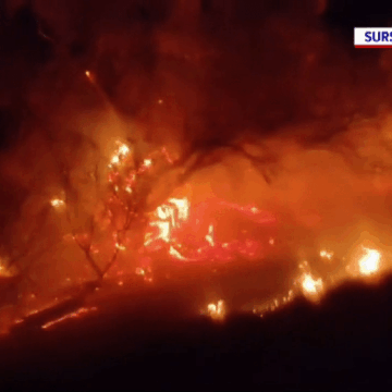 img-3 Incendii de vegetație în mai multe județe